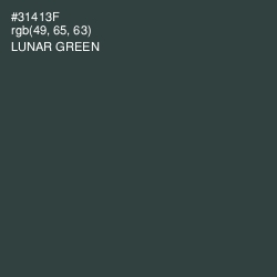 #31413F - Lunar Green Color Image
